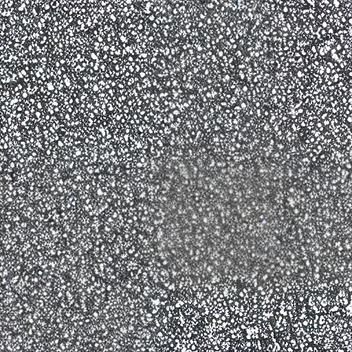 A small picture of Art Collaboration Software